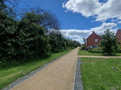 Picture 26